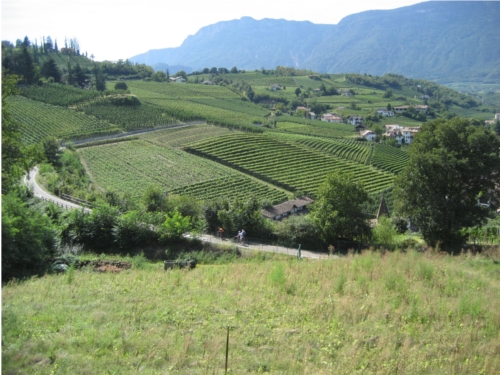 Radweg Eppan-Bozen